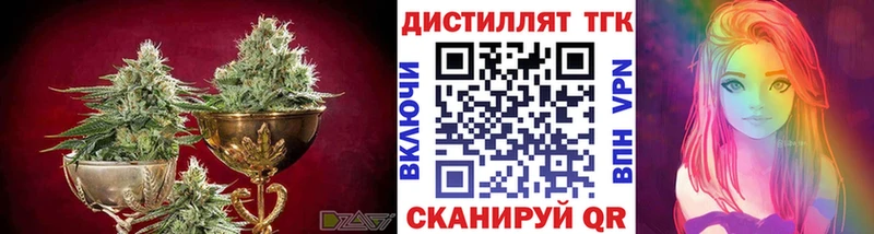 закладки  Буй  ТГК концентрат 
