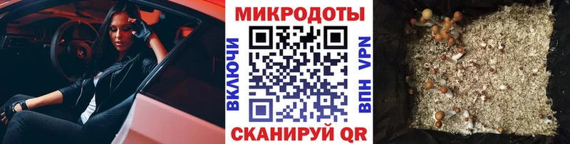 Галлюциногенные грибы мухоморы  хочу   гидра ССЫЛКА  Буй 